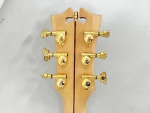 D’Angelico Deluxe Ludlow MATTE WINE 1/50 エレキギター ハード・ソフトケース付き ディアンジェリコ ギター 弦楽器 中古 良好 K8402998_画像7