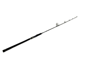 DAIWA SALTIGA R J56S-4HI スピニングロッド 釣竿 フィッシング 釣り 竿 ソルティガ 中古 S8670636