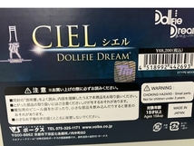DOLLFIE DREAM ドルフィードリーム 型月作品 月姫 シエル 代行者の姿 ドール 美品 中古 Y8667217_画像4