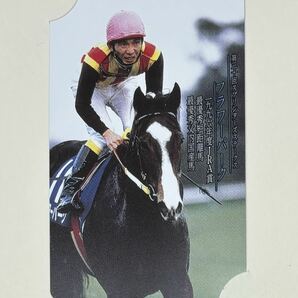 ◎未使用◆フラワーパーク◆JRA賞最優秀短距離馬・最優秀父内国産馬／競馬／テレカ／50度／２枚 ◎台紙付きの画像2