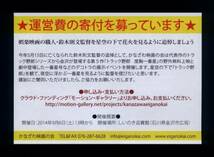 ♪2014年稀少小型チラシ「トラック野郎 度胸一番星」地方イベント上映　菅原文太/愛川欽也/片平なぎさ/千葉真一/夏樹陽子/八代亜紀♪_画像2