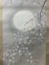 美山 掛軸 花　桜　箱あり（0072）_画像3