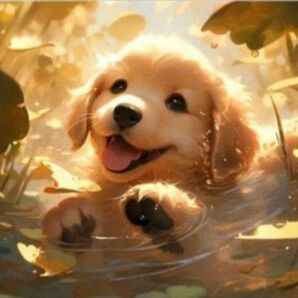 新品ダイヤモンドアート　20×20　可愛い子犬　ゴールデンレトリバーの赤ちゃん　水遊び　作成キット　ワンちゃん