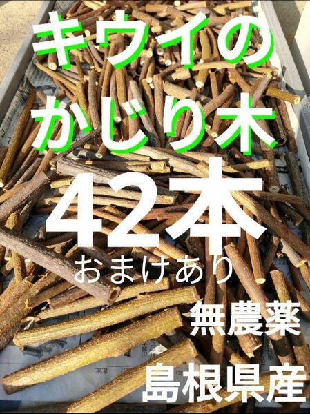 無農薬　枝　キウイのかじり木　ハムスター　うさぎ餌　かじり木　キウイフルーツ