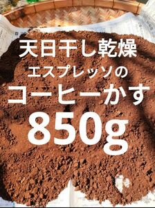 出がらし　コーヒーかす　家庭菜園　材料　消臭材　コーヒーカス