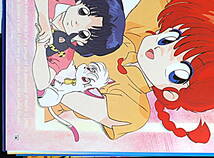 [Vintage] [New Item] [Delivery Free]1990s Ranma 1/2 (Rumiko Takahashi) MOVIC Issued B2Poster らんま1/2 高橋留美子[tag5555]_画像6