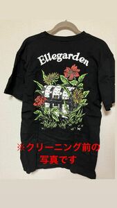 クリーニング済★ Ellegarden エルレガーデン THE BOYS ARE BACK IN YOWN TOUR 2018 Tシャツ バンド Lサイズ 細美武士 MONOEYES モノアイズ