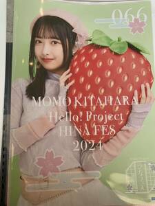 【北原もも】コレクションピンナップポスター ピンポス 「Hello! Project　ひなフェス 2024」