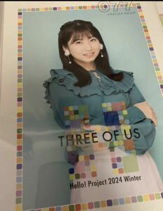 【井上春華・77】コレクションピンナップポスター ピンポス Hello! Project 2024 Winter 〜THREE OF US〜