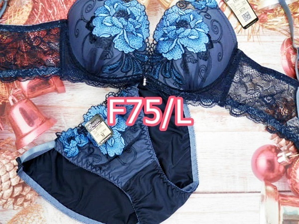 PS14-F75/L ブラジャー＆ショーツセット ブラ&ショーツセット 下着 ランジェリー 脇高ブラジャー 脇高ブラ