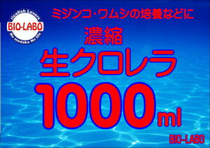 生クロレラ　1000ｍｌミジンコ培養　グリーンウォーター　青水　