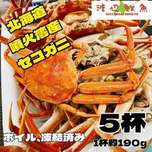 1円〜　特別！大人気のセコガニ ズワイガニ　セコガニ5杯　北海道産 ボイル 蟹カニ _画像1