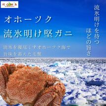 1円オークション！北海道グルメ！季節限定オホーツク産流氷明け　毛蟹！黄金毛蟹　味噌たっぷり　甲羅盛り　大人気の為希少_画像1