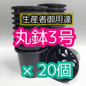 3号 丸鉢 ◎20個◎黒 アガベ 園芸 多肉植物 