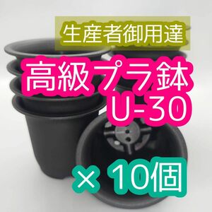 U30 10個 高級 プラ鉢 3号 U-30 多肉植物 アガベ ユーフォルビア