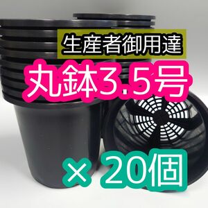 丸鉢 3.5号 黒 20個 プラ鉢 サボテン アガベ 観葉植物 多肉植物 盆栽 山野草 蘭 バラ 球根 パキポディウム