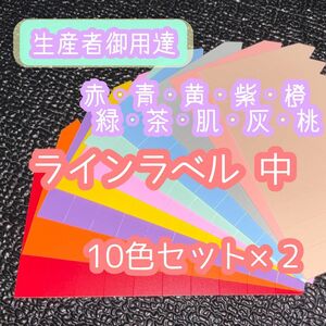 ラインラベル 中 10色×2セット 200枚 園芸カラーラベル 多肉植物 エケベリア