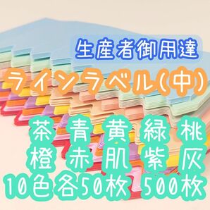 ラインラベル 中 500枚10色 園芸ラベル カラーラベル 多肉植物 エケベリア 盆栽 山野草 観葉植物