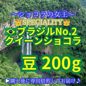 【 豆 】 ブラジル No2 クイーンショコラ 200g 83点 スペシャルティ コーヒー 珈琲 自家焙煎 モヒロコーヒー