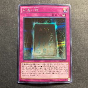 A031】永遠の魂 シークレットレア 遊戯王 デュエルモンスターズ TCG トレカ カード