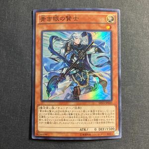 A032】青き眼の賢士 SR 遊戯王 デュエルモンスターズ TCG トレカ カード