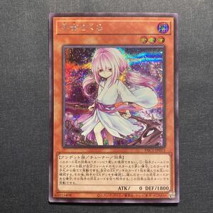 A008】浮幽さくら シークレットレア 遊戯王 デュエルモンスターズ TCG トレカ カード