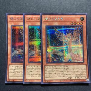 A024】輝ける星の竜 シークレットレア 3枚セット 遊戯王 デュエルモンスターズ TCG トレカ カード