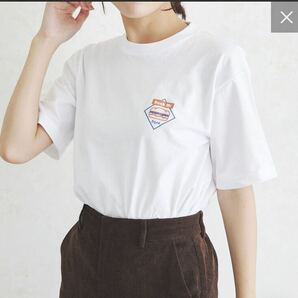 スリーコインズ半袖Tシャツの画像2