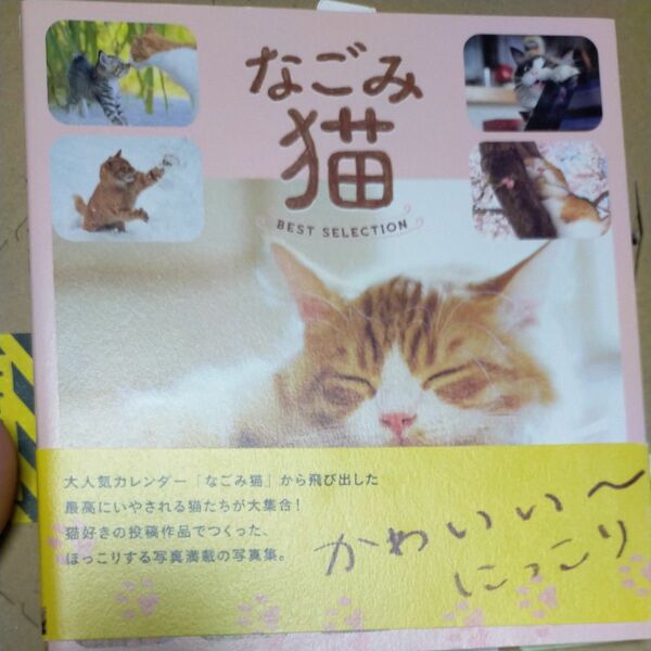 なごみ猫BEST SELECTION