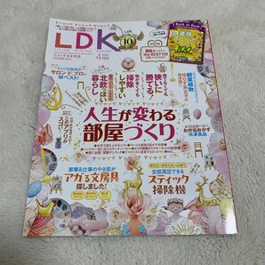 ＬＤＫ（エルディーケー） ２０２４年４月号 （晋遊舎）