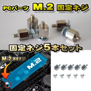 【パーツ固定ネジ】 PCパーツ M.2 固定ネジ 5本セット シルバー
