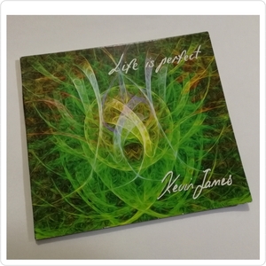直筆サイン入　Kevin James - Life is Perfect　CDアルバム/ケヴィンジェームズ