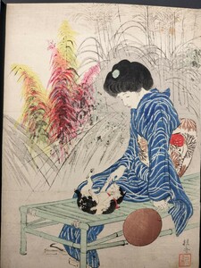 【真作】猫！口絵 本物浮世絵木版画 武内桂舟「猫」美人図 明治期 大判 錦絵 保存良い 清方 年方 玉堂 半古 広業 月耕 永洗 華邨 英朋