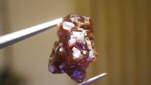 ヒマラヤ産のガーネット結晶です。　群晶で、多数の結晶が見られます。大きさもあり魅力的