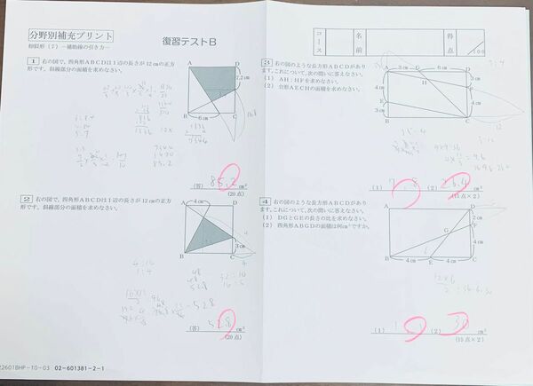 サピックス　小学6年後期　分野別補充プリント16回　中学入試　御三家　最難関対策プリント