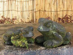 がま二匹　長さ24cm、21cm　蛙　庭石　九州産天然石