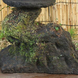石灯篭 高さ71cm 重量49kg 自然木型 九州産天然石の画像10