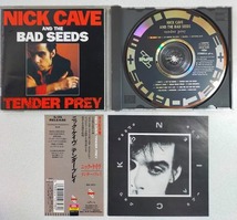 NICK CAVE & THE BAD SEEDS / TENDER PRAY 日本盤_画像1