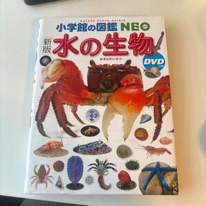 水の生物 （小学館の図鑑ＮＥＯ　７） （新版） 白山義久／〔ほか〕指導・執筆　松沢陽士／ほか撮影　楚山いさむ／ほか撮影