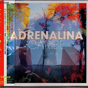 アドレナリーナ・カリベ/Adrenalina Caribe「時空のジャングル」ベネズエラ