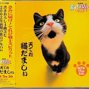 NHK 天才てれびくんワイド 天てれ猫だましぃ「MTK the 5th」