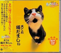 NHK 天才てれびくんワイド 天てれ猫だましぃ「MTK the 5th」_画像1