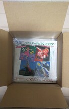 洋楽 ロック EPレコード 50枚セット /Cyndi Lauper/Nolans/Kaja goo goo/DURAN DURAN/KNACK/EAGLES/AMERICA/P.Mccartney/J.Lennon/ etc..._画像4