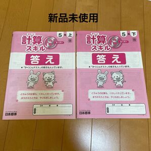 交渉中小5 書き込み計算Sスキル 答え 上下