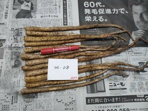 ｍ‐08☆自然薯・じねんじょ種芋（首）・1年バイオ（1BIO）660ｇ/12本・芽無し