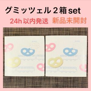 【未開封発送】グミッツェル 2箱セット 計12個 行列スイーツ 東京駅限定 ショッパー可