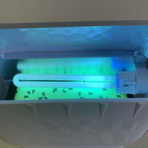 フライメンター 自動巻取り式 誘虫灯 蚊 ハエ コバエ 捕虫器 虫取り 虫除け 飛来昆虫 飛来害虫 駆除 捕獲器 メンターシステムの画像2