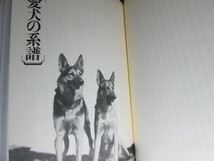 ☆小学館ノンフィクション大賞 片野ゆか『愛犬王 平岩米吉伝』小学館;2006年初版帯付;写真提供;平岩由伎子*犬は笑うのか？犬を愛し男の評伝_画像3