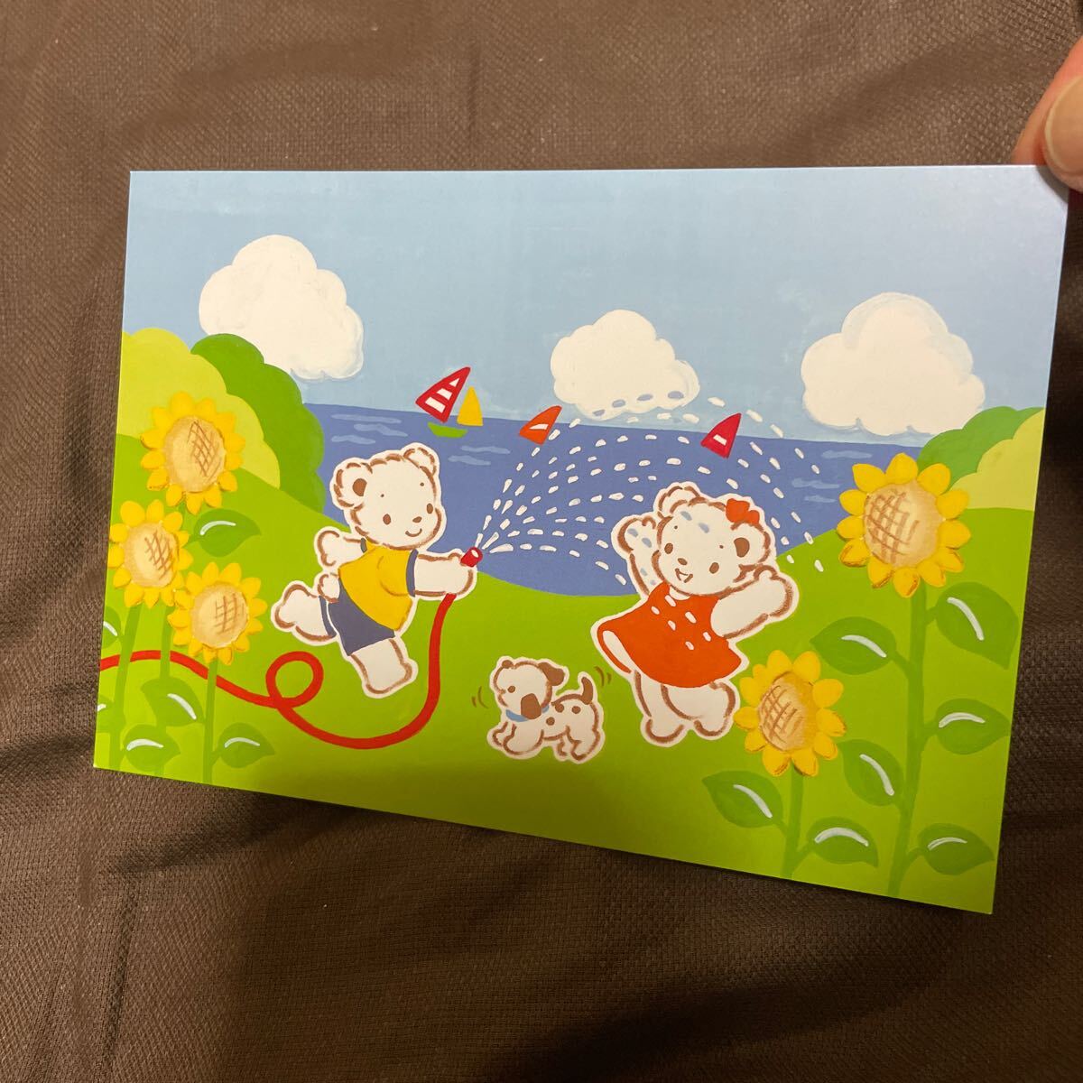 [Стоимость доставки: 84 иен] знакомая открытка с изображением открытки с изображением открытки летние поздравления летняя открытка благодарственное письмо, печатный материал, открытка, Открытка, другие