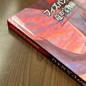 603p1641☆ ダンジョンズ&ドラゴンズ フィズバンと竜の宝物庫 D&D RPG ロールプレイングゲーム ウィザーズ・オブ・ザ・コースト C92741400の画像7